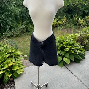 High Rise Dad Short